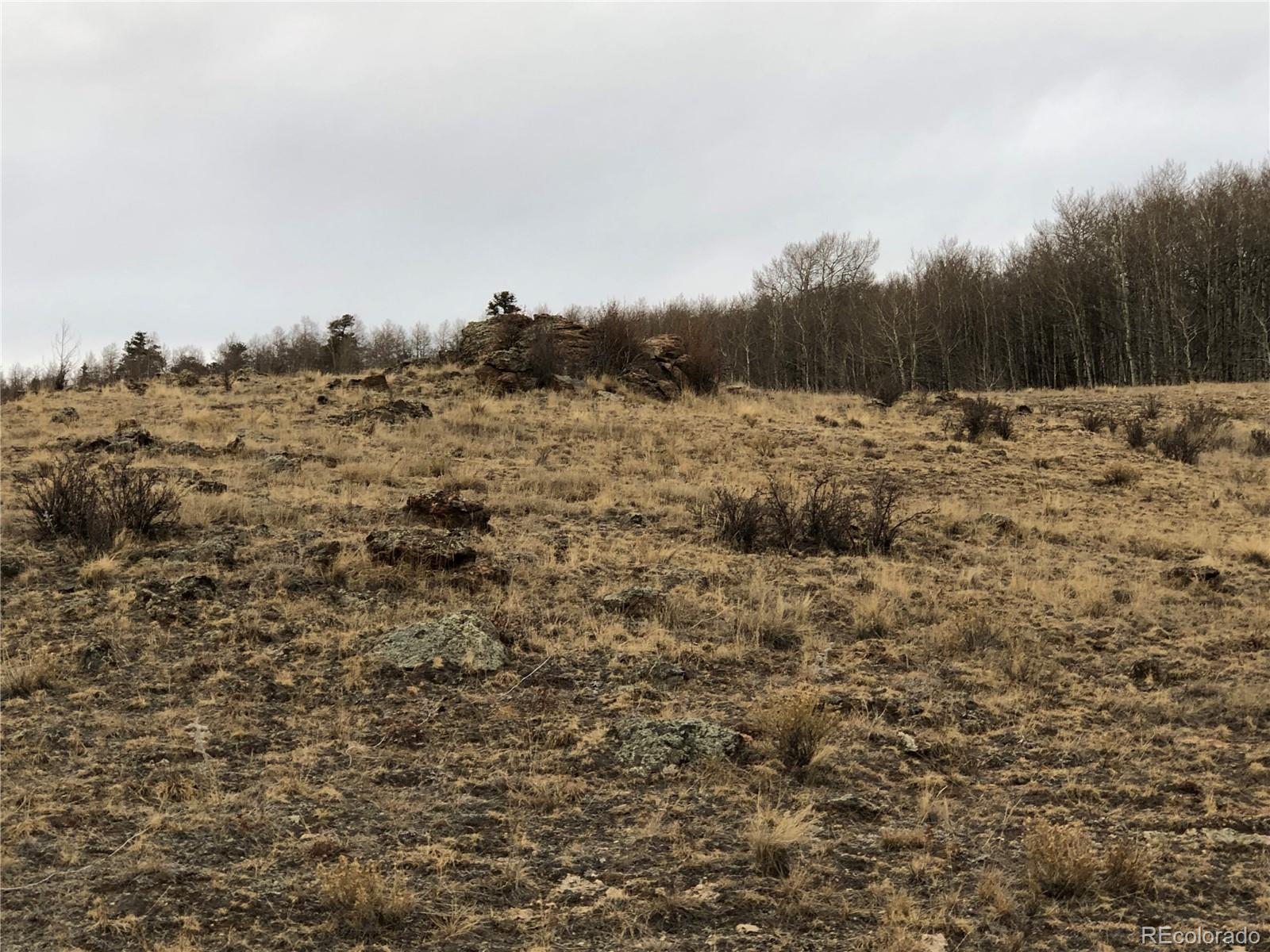477 Mustang Trail, Jefferson, CO 80456, ,Land,For Sale,Mustang,REC7297475