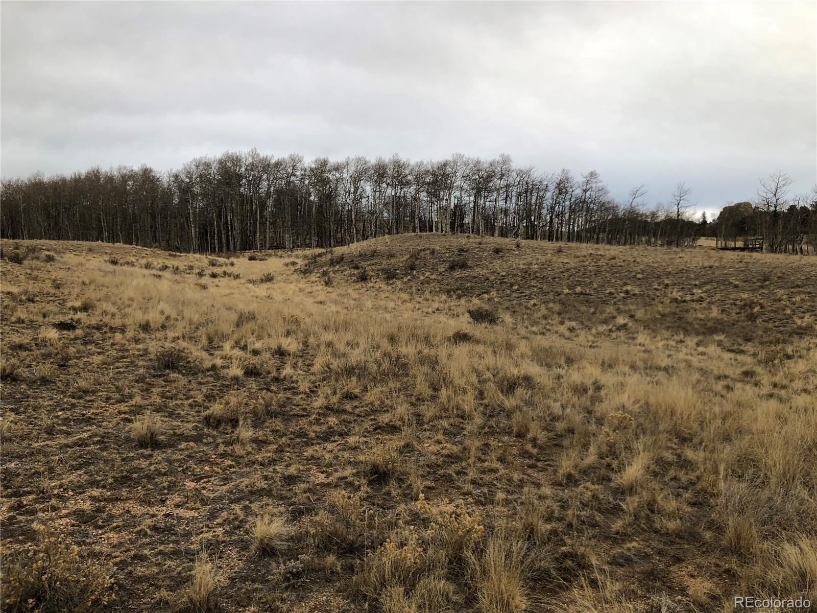 477 Mustang Trail, Jefferson, CO 80456, ,Land,For Sale,Mustang,REC7297475