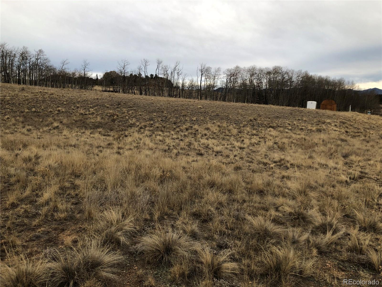 477 Mustang Trail, Jefferson, CO 80456, ,Land,For Sale,Mustang,REC7297475