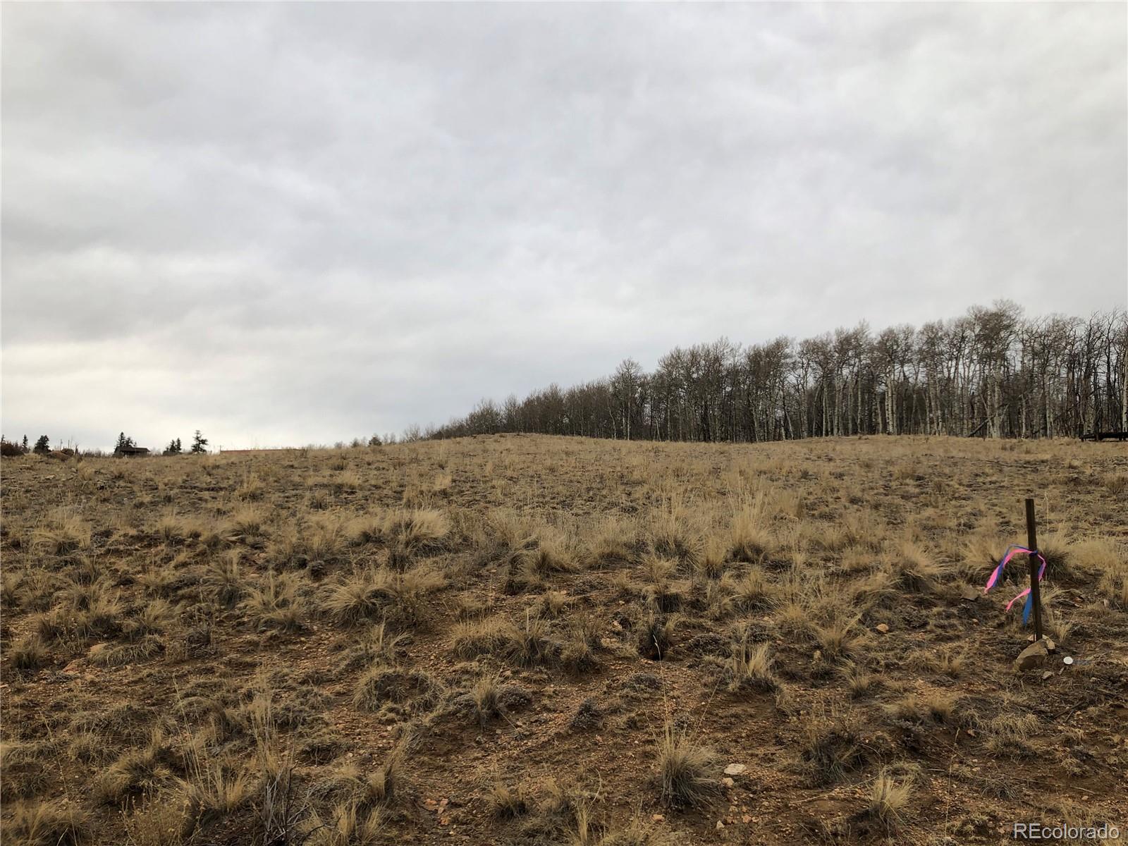 477 Mustang Trail, Jefferson, CO 80456, ,Land,For Sale,Mustang,REC7297475