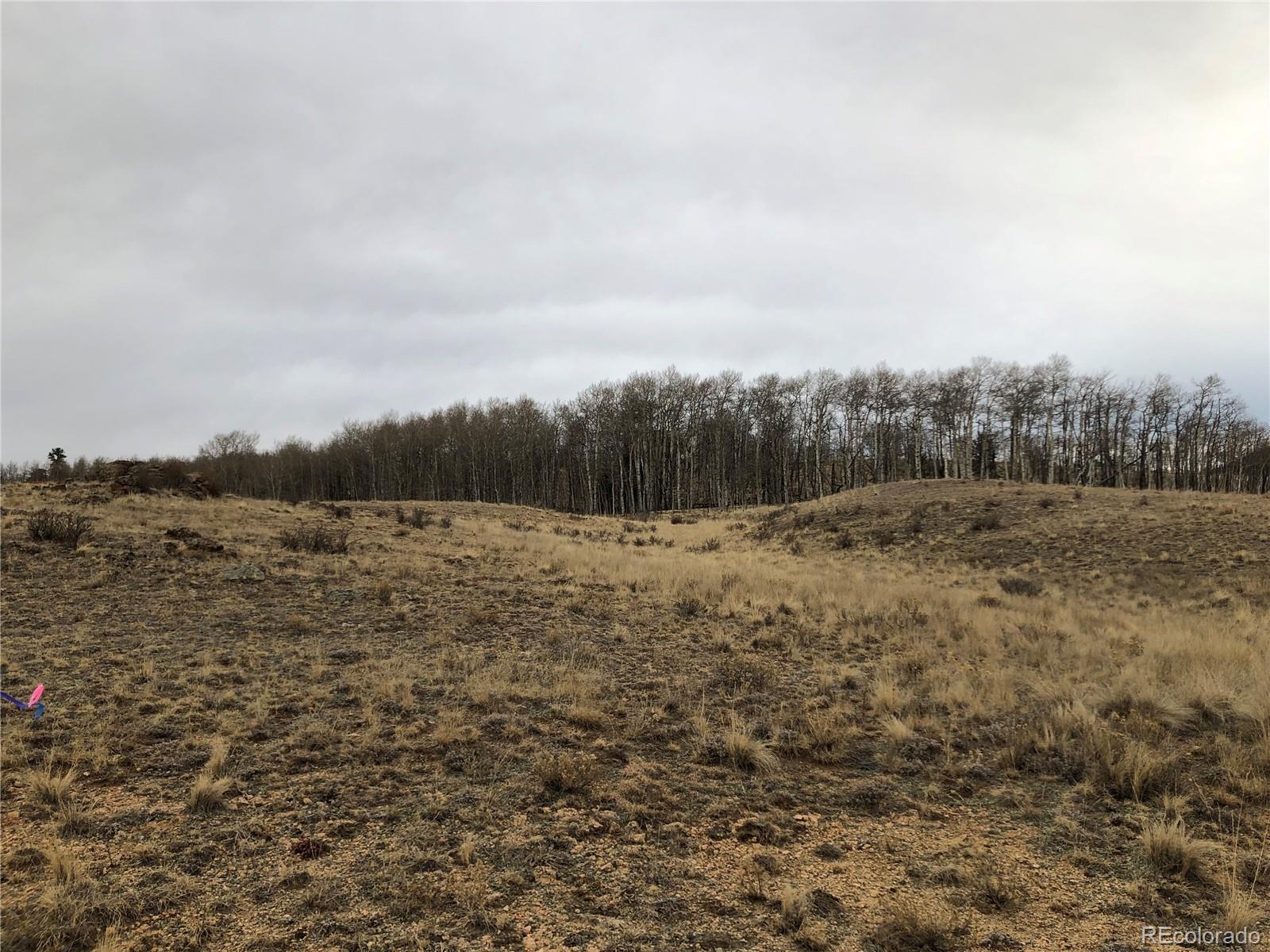 477 Mustang Trail, Jefferson, CO 80456, ,Land,For Sale,Mustang,REC7297475