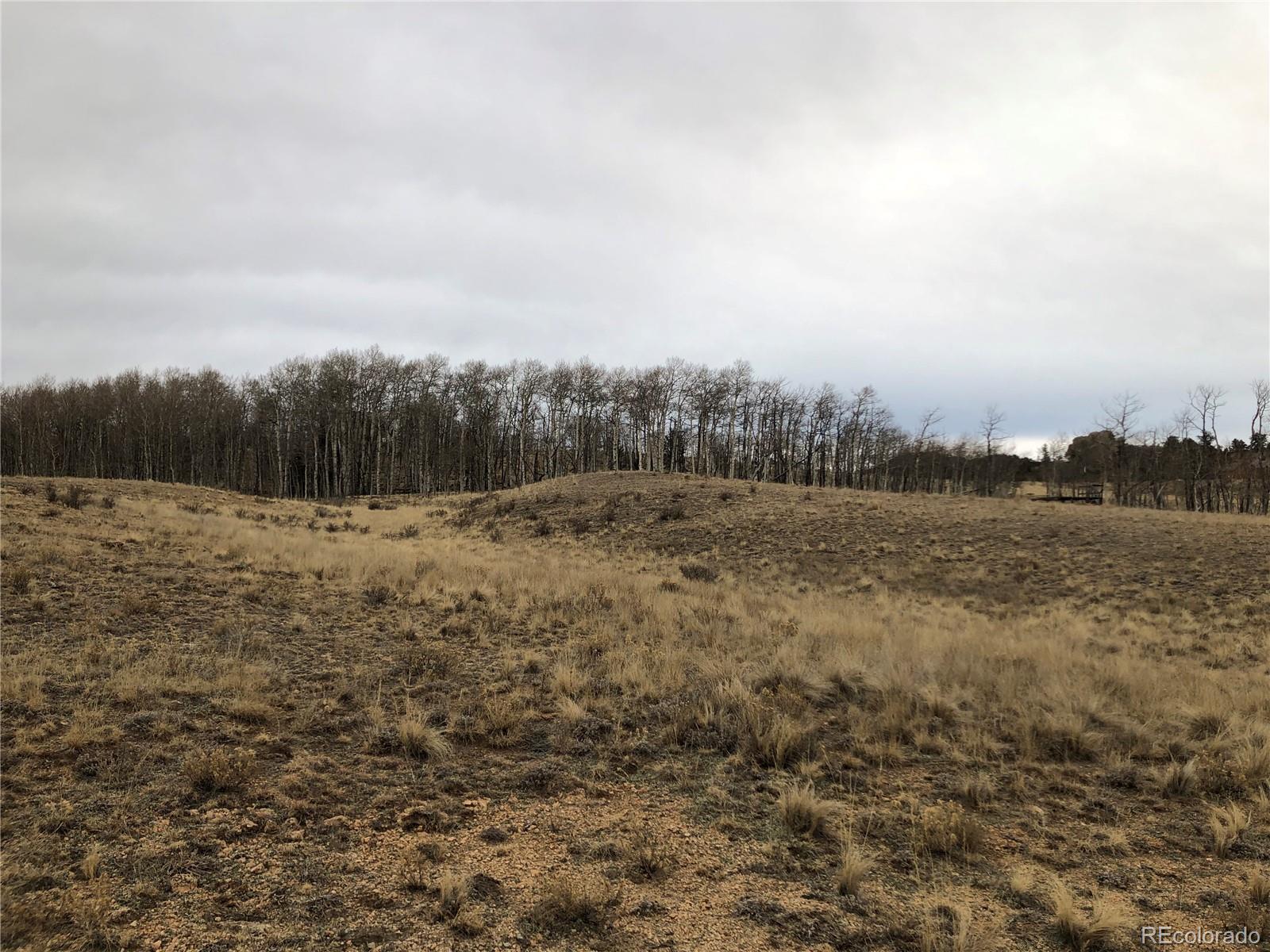 477 Mustang Trail, Jefferson, CO 80456, ,Land,For Sale,Mustang,REC7297475