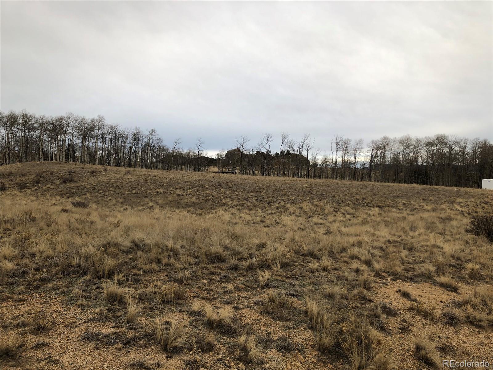477 Mustang Trail, Jefferson, CO 80456, ,Land,For Sale,Mustang,REC7297475