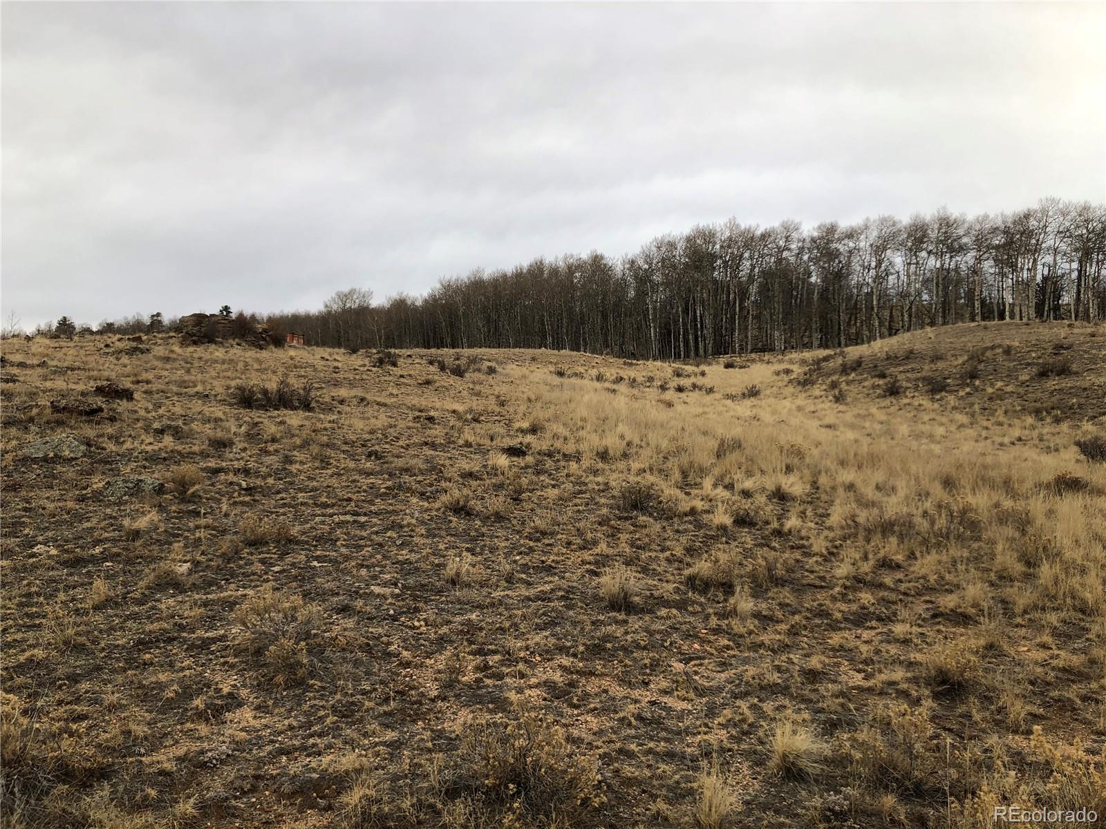 477 Mustang Trail, Jefferson, CO 80456, ,Land,For Sale,Mustang,REC7297475