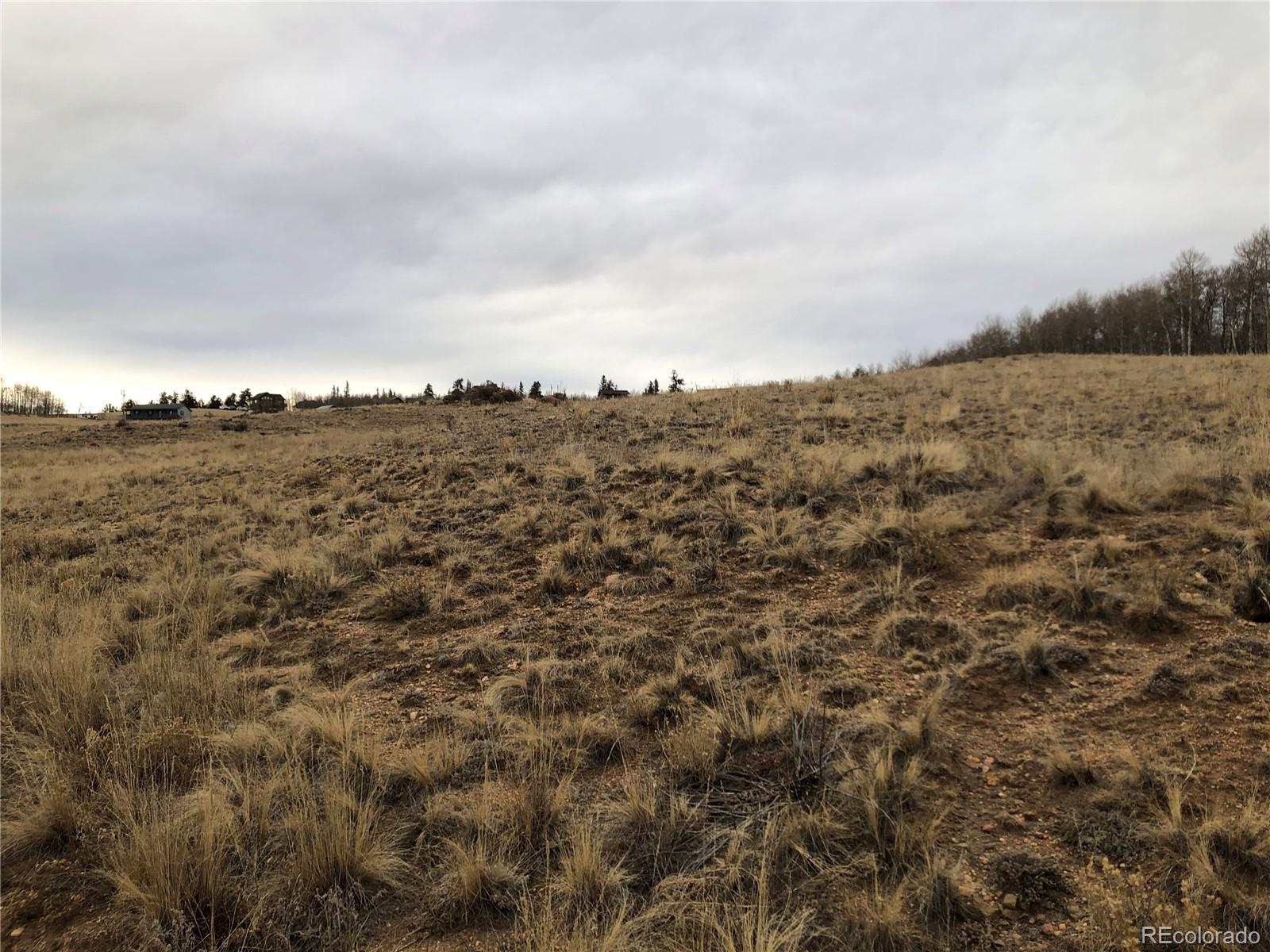 477 Mustang Trail, Jefferson, CO 80456, ,Land,For Sale,Mustang,REC7297475