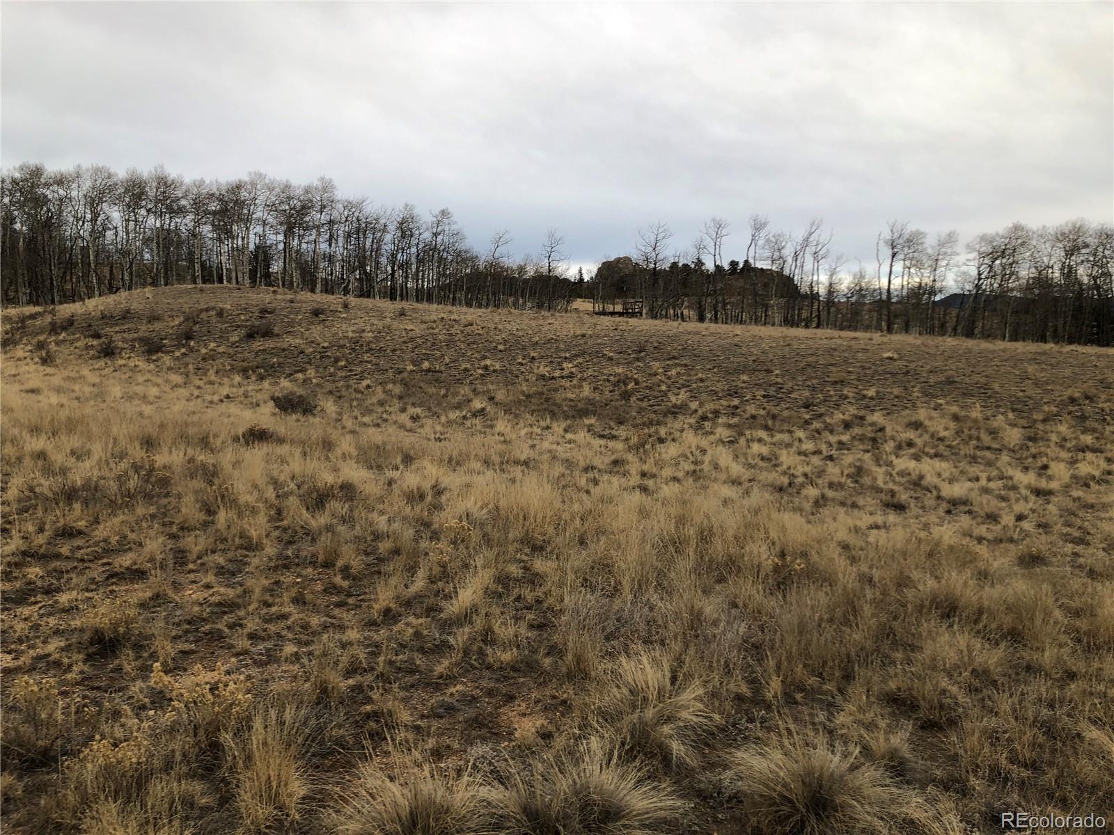 477 Mustang Trail, Jefferson, CO 80456, ,Land,For Sale,Mustang,REC7297475