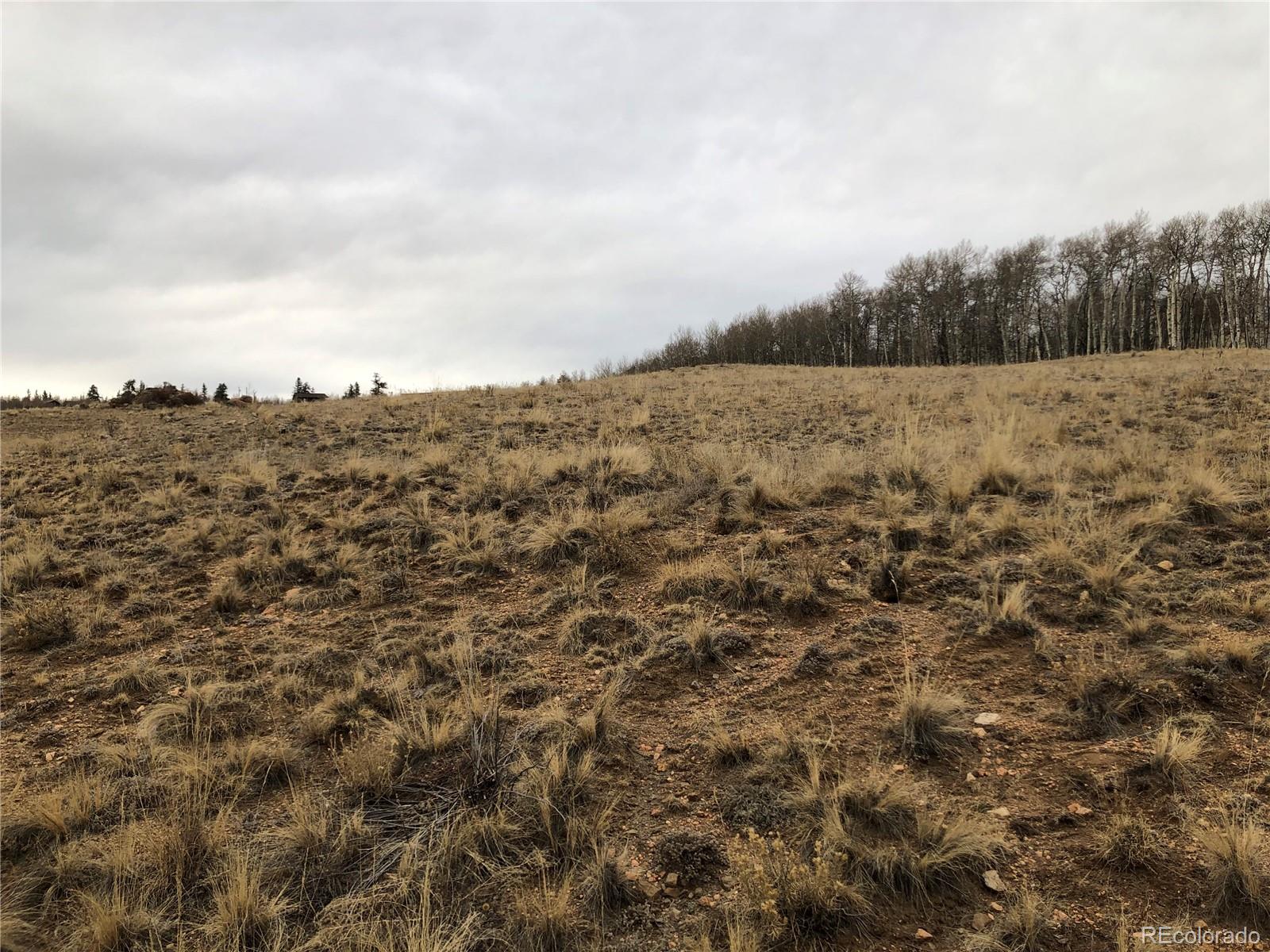 477 Mustang Trail, Jefferson, CO 80456, ,Land,For Sale,Mustang,REC7297475