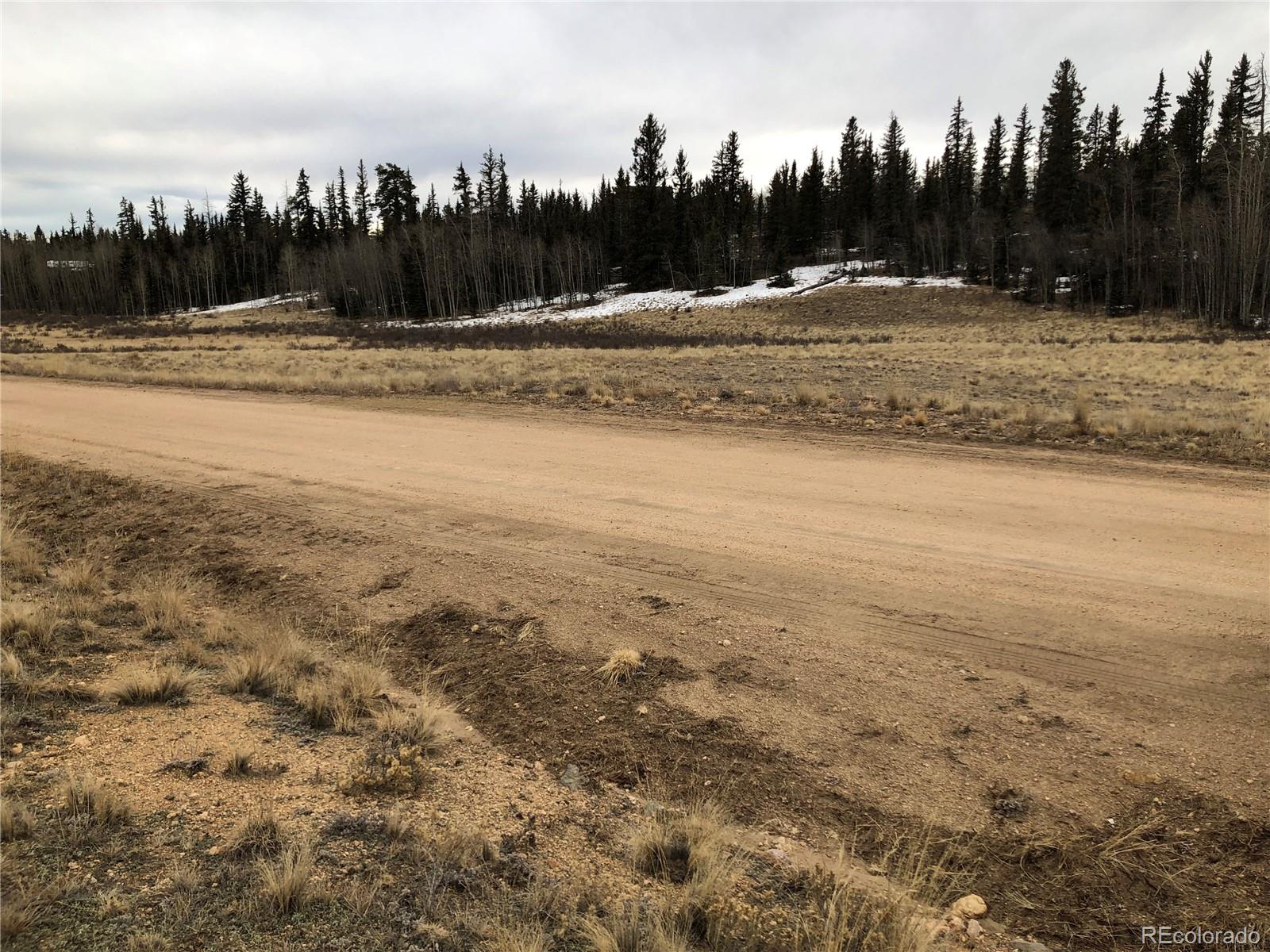 477 Mustang Trail, Jefferson, CO 80456, ,Land,For Sale,Mustang,REC7297475