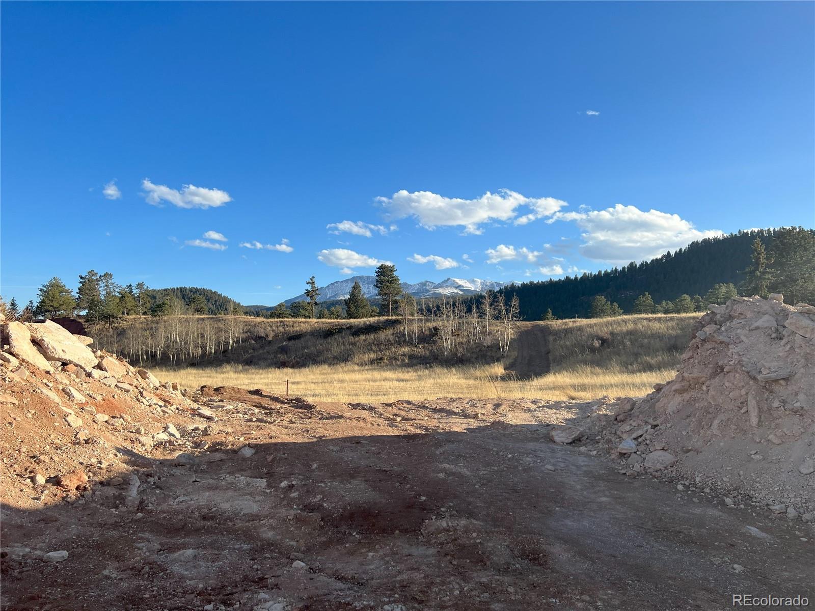 1309 County Rd 21 Road, Woodland Park, CO 80863, ,Commercial,For Sale,County Rd 21,REC6338467