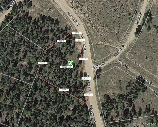 442 Forbes Park Road, Fort Garland, CO 81133, 2 Bedrooms Bedrooms, ,1 BathroomBathrooms,Residential,For Sale,Forbes Park,REC6827373
