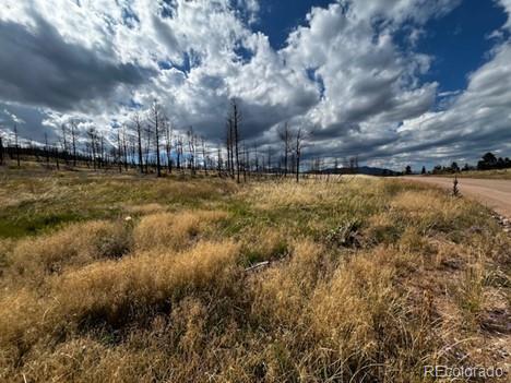 442 Forbes Park Road, Fort Garland, CO 81133, 2 Bedrooms Bedrooms, ,1 BathroomBathrooms,Residential,For Sale,Forbes Park,REC6827373