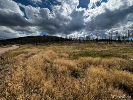 442 Forbes Park Road, Fort Garland, CO 81133, 2 Bedrooms Bedrooms, ,1 BathroomBathrooms,Residential,For Sale,Forbes Park,REC6827373