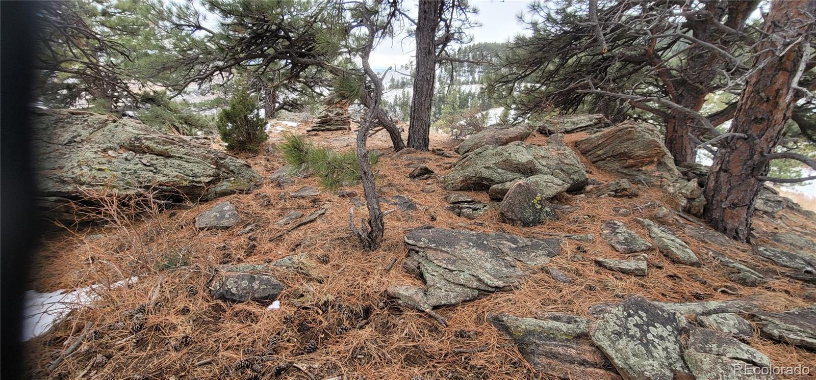 TBD, Golden, CO 80401, ,Land,For Sale,TBD,REC7685449