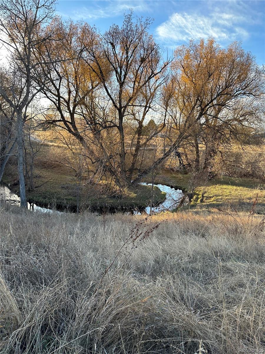 55 S Flower Street, Lakewood, CO 80226, 4 Bedrooms Bedrooms, ,3 BathroomsBathrooms,Residential,For Sale,Flower,REC6465111