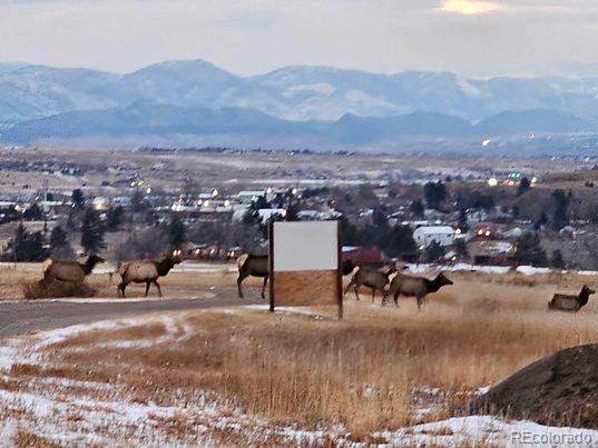 4166 Sanctuary Way, Sedalia, CO 80135, ,Land,For Sale,Sanctuary,REC8183993
