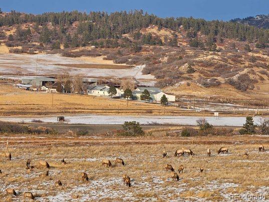 4166 Sanctuary Way, Sedalia, CO 80135, ,Land,For Sale,Sanctuary,REC8183993