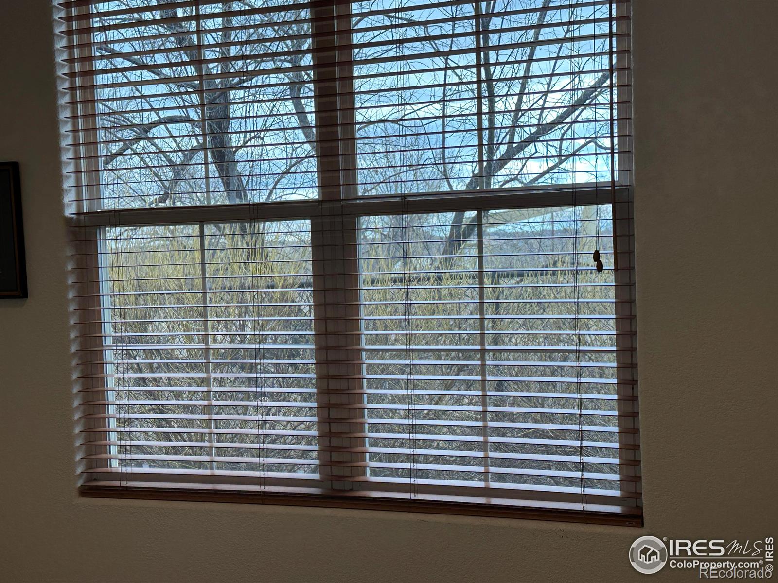 1270 Inca Dove Circle, Loveland, CO 80537, 2 Bedrooms Bedrooms, ,2 BathroomsBathrooms,Residential,For Sale,Inca Dove,RECIR1003726