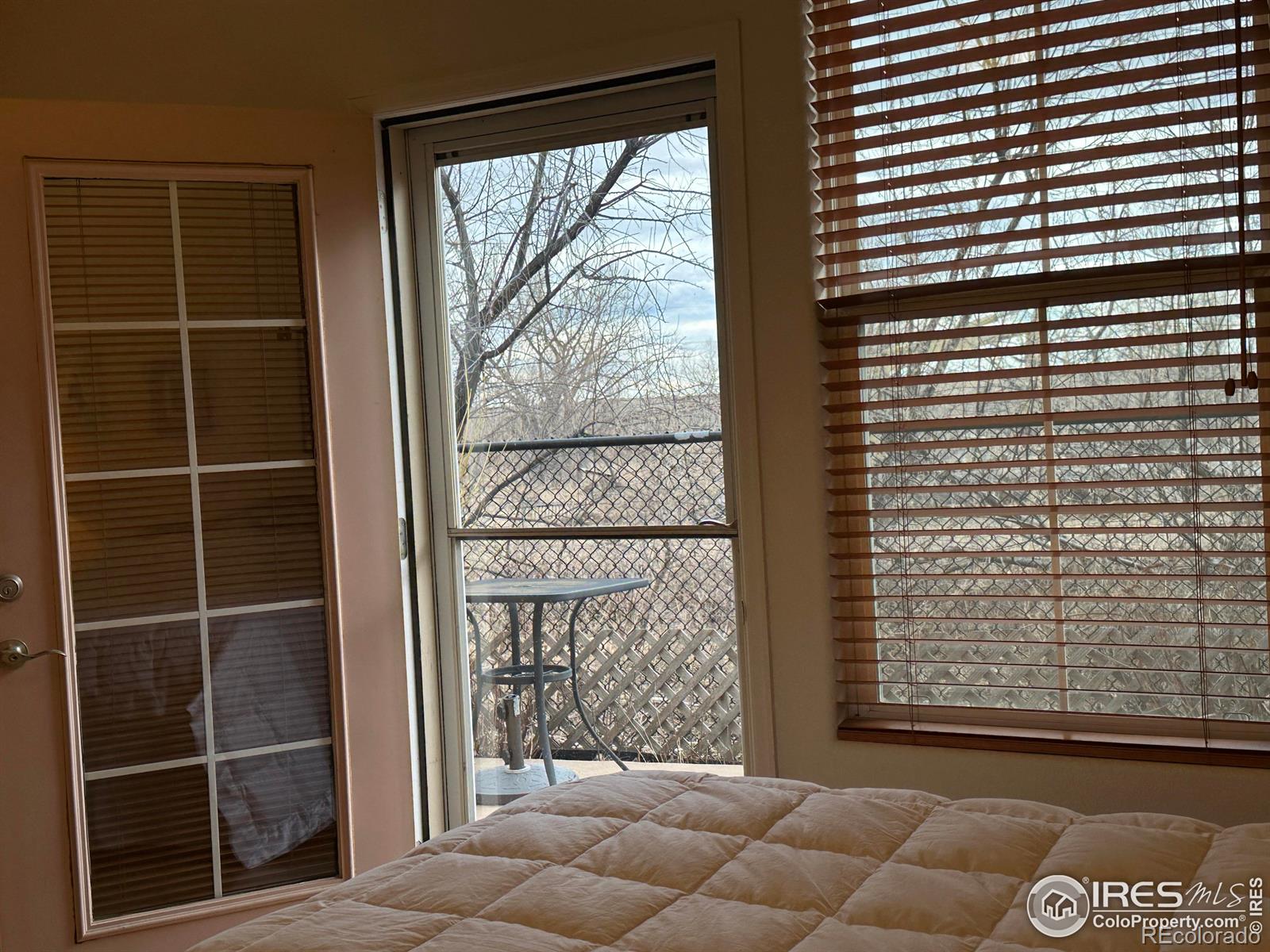 1270 Inca Dove Circle, Loveland, CO 80537, 2 Bedrooms Bedrooms, ,2 BathroomsBathrooms,Residential,For Sale,Inca Dove,RECIR1003726