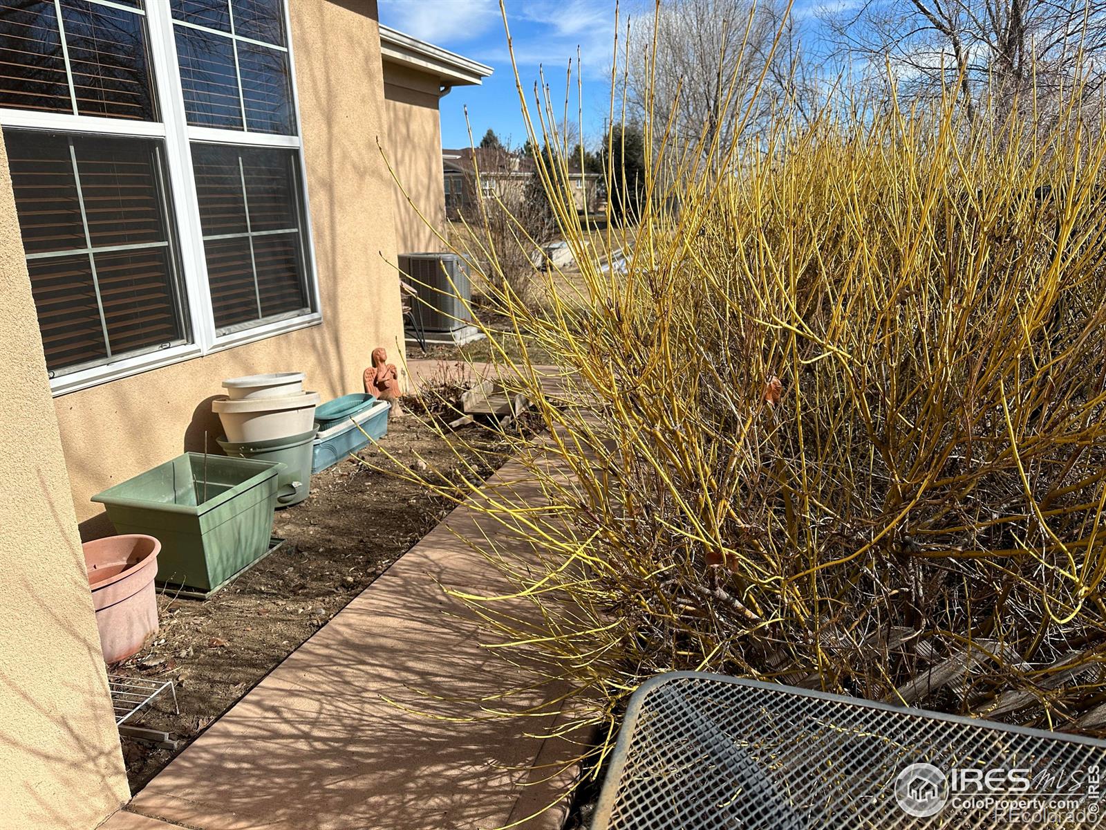 1270 Inca Dove Circle, Loveland, CO 80537, 2 Bedrooms Bedrooms, ,2 BathroomsBathrooms,Residential,For Sale,Inca Dove,RECIR1003726