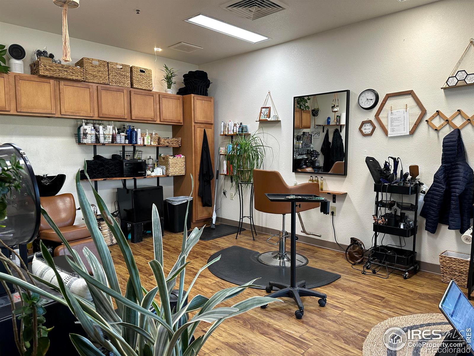 1270 Inca Dove Circle, Loveland, CO 80537, 2 Bedrooms Bedrooms, ,2 BathroomsBathrooms,Residential,For Sale,Inca Dove,RECIR1003726