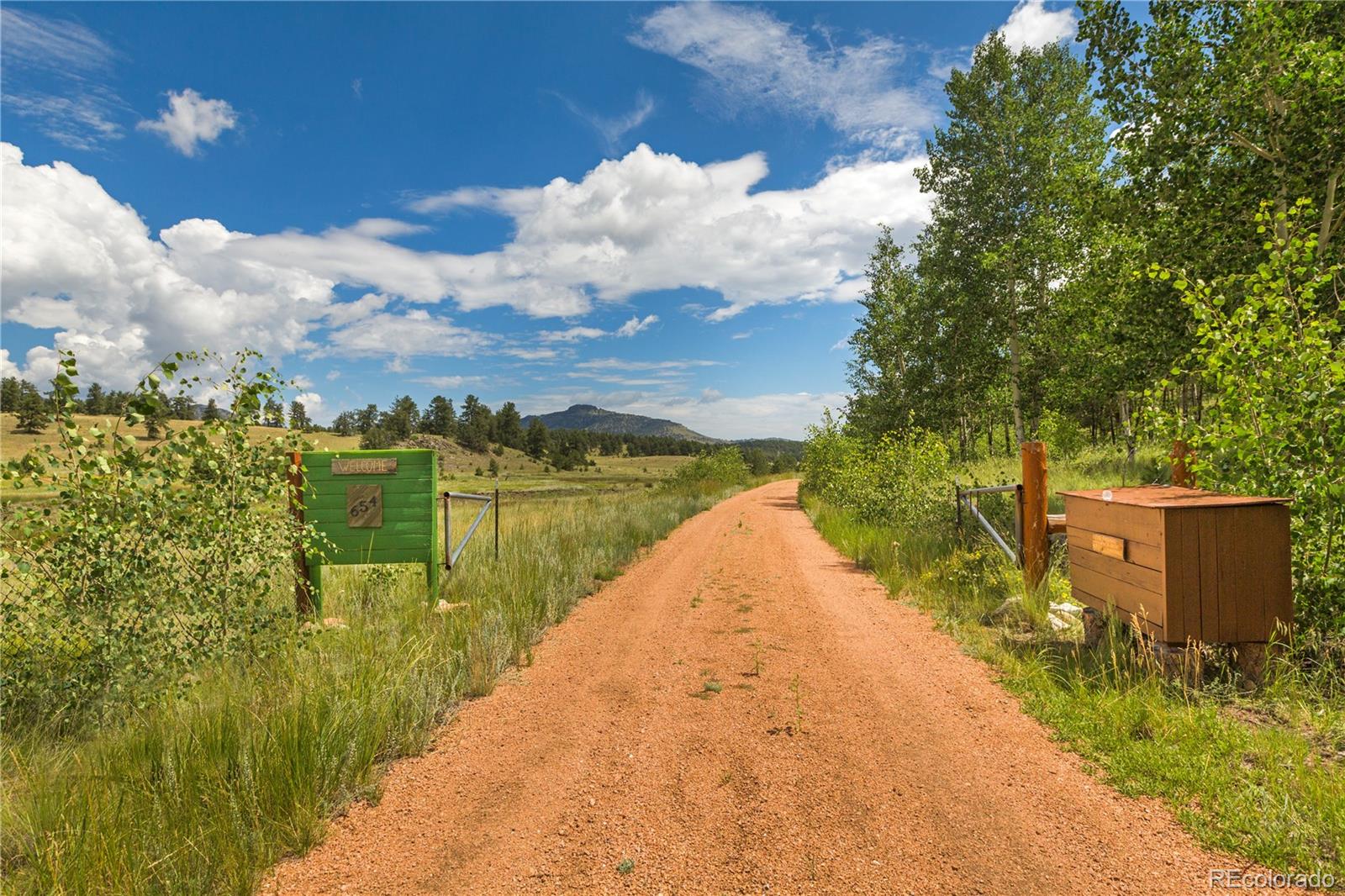 654 Tess Trace Road, Guffey, CO 80820, 2 Bedrooms Bedrooms, ,2 BathroomsBathrooms,Residential,For Sale,Tess Trace,REC7108975