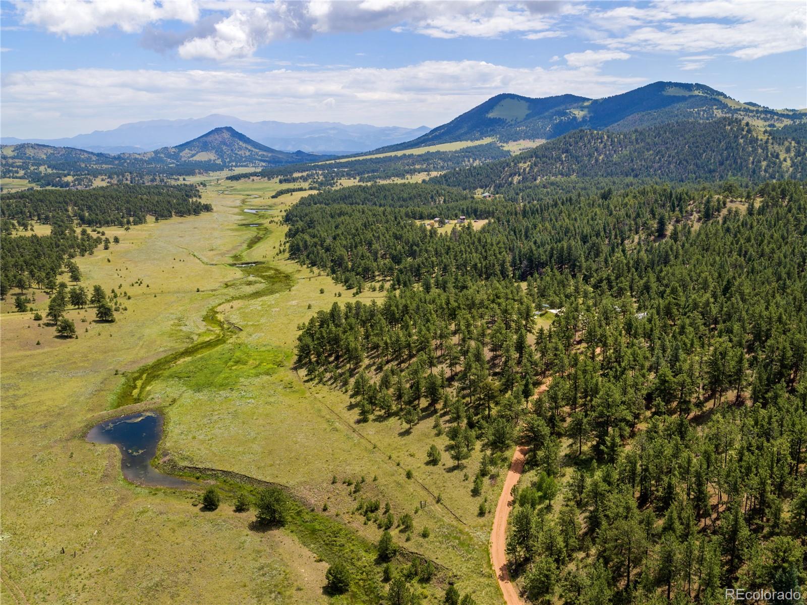 654 Tess Trace Road, Guffey, CO 80820, 2 Bedrooms Bedrooms, ,2 BathroomsBathrooms,Residential,For Sale,Tess Trace,REC7108975