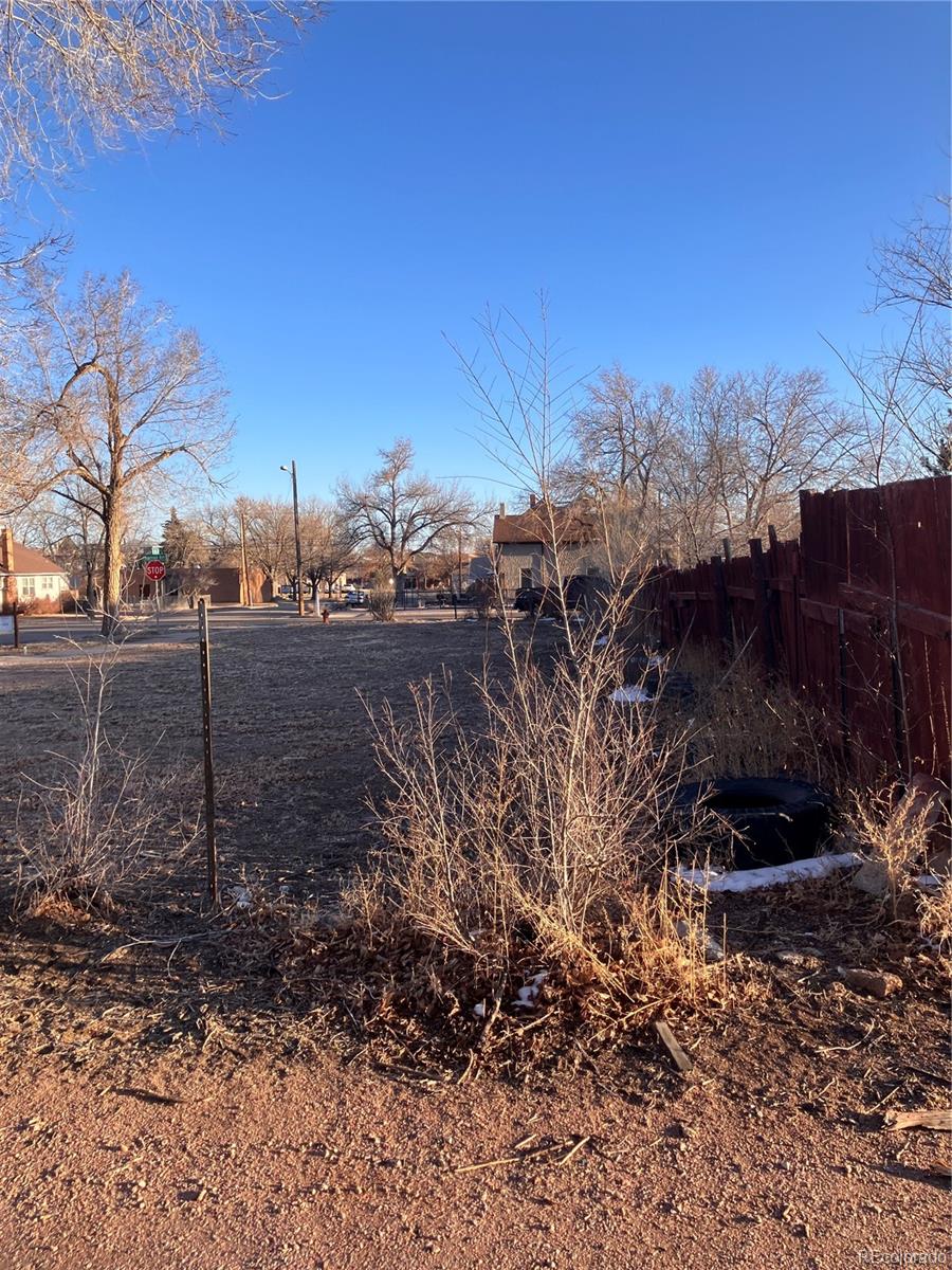 531 Harrison Avenue, Canon City, CO 81212, ,Land,For Sale,Harrison,REC6911333
