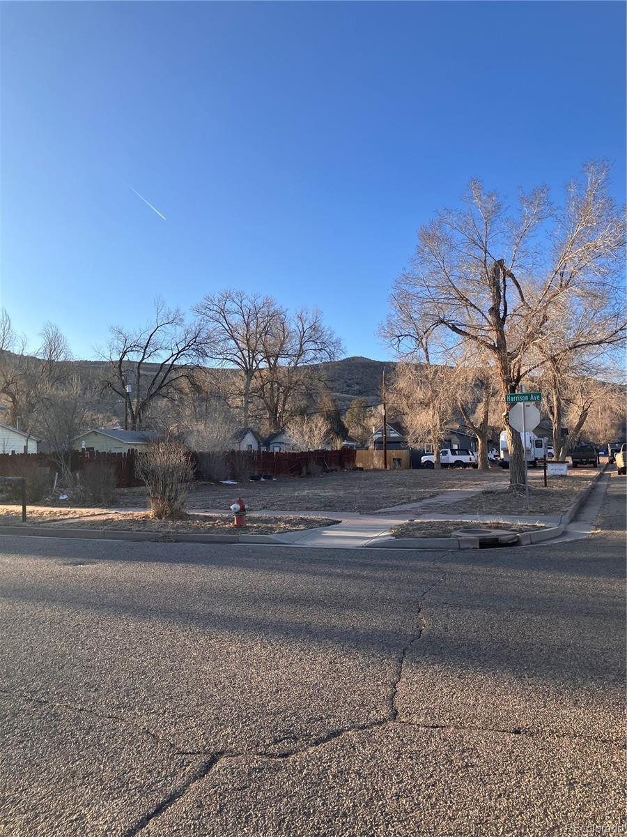 531 Harrison Avenue, Canon City, CO 81212, ,Land,For Sale,Harrison,REC6911333