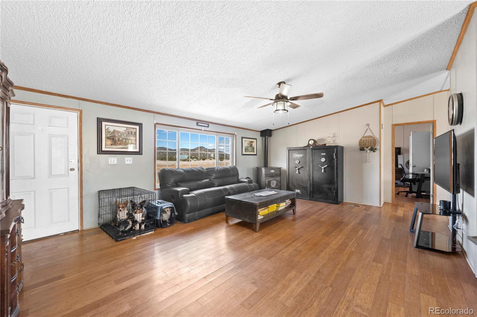 28 Pinon Lane, Cotopaxi, CO 81223, 4 Bedrooms Bedrooms, ,2 BathroomsBathrooms,Residential,For Sale,Pinon,REC9128849