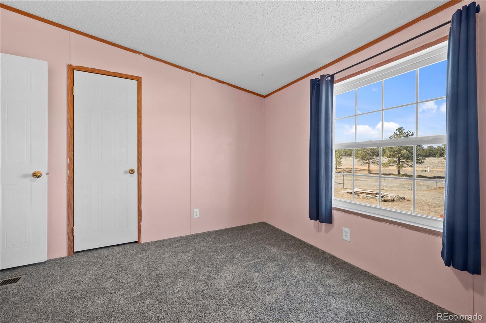 28 Pinon Lane, Cotopaxi, CO 81223, 4 Bedrooms Bedrooms, ,2 BathroomsBathrooms,Residential,For Sale,Pinon,REC9128849