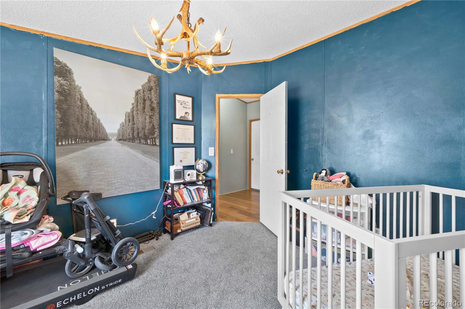 28 Pinon Lane, Cotopaxi, CO 81223, 4 Bedrooms Bedrooms, ,2 BathroomsBathrooms,Residential,For Sale,Pinon,REC9128849