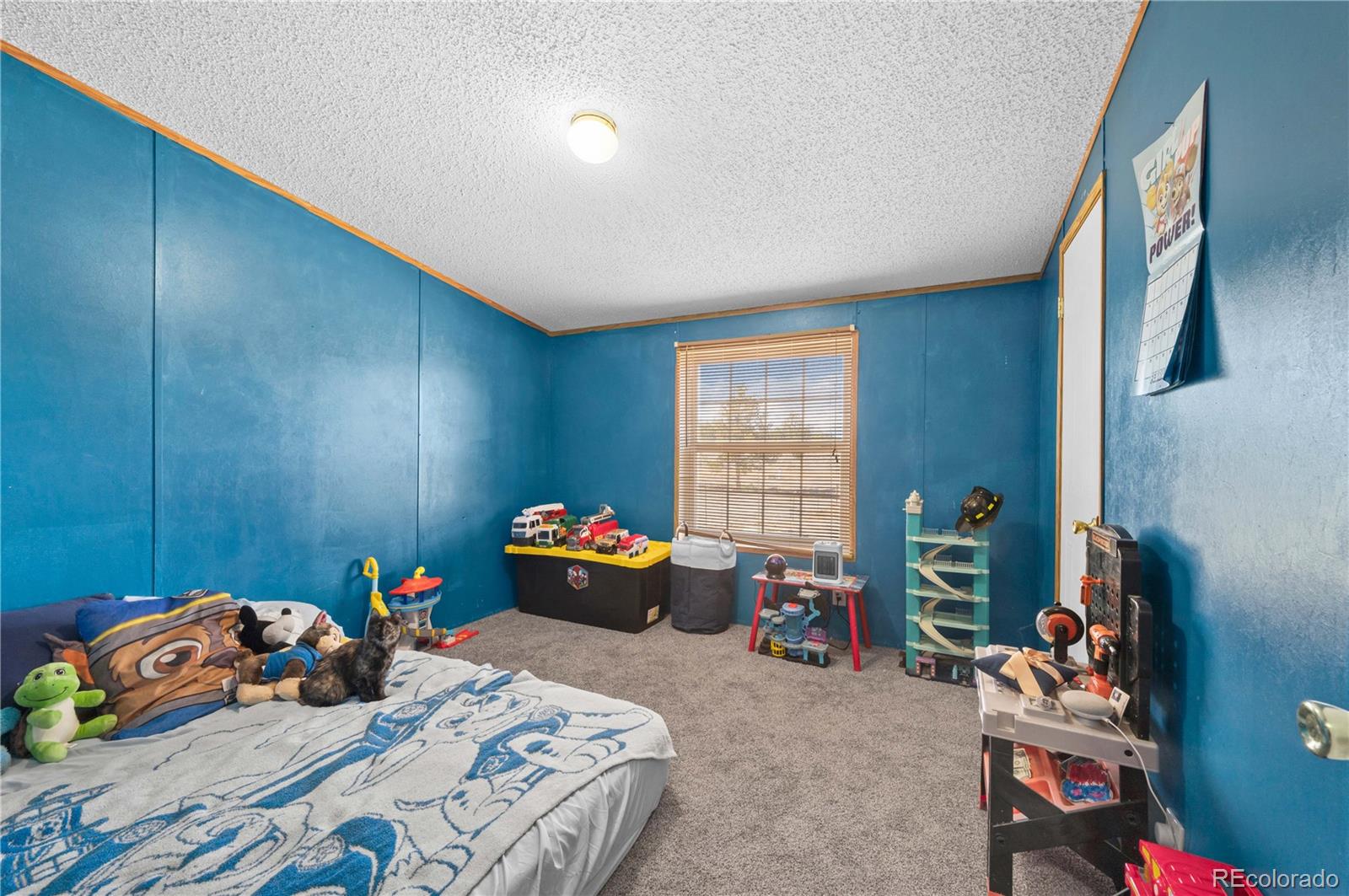 28 Pinon Lane, Cotopaxi, CO 81223, 4 Bedrooms Bedrooms, ,2 BathroomsBathrooms,Residential,For Sale,Pinon,REC9128849