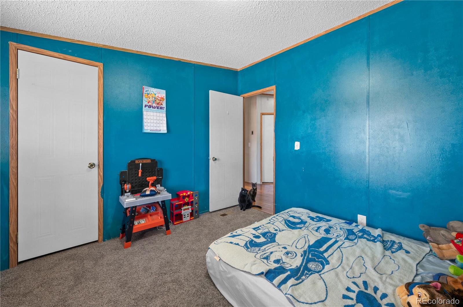 28 Pinon Lane, Cotopaxi, CO 81223, 4 Bedrooms Bedrooms, ,2 BathroomsBathrooms,Residential,For Sale,Pinon,REC9128849