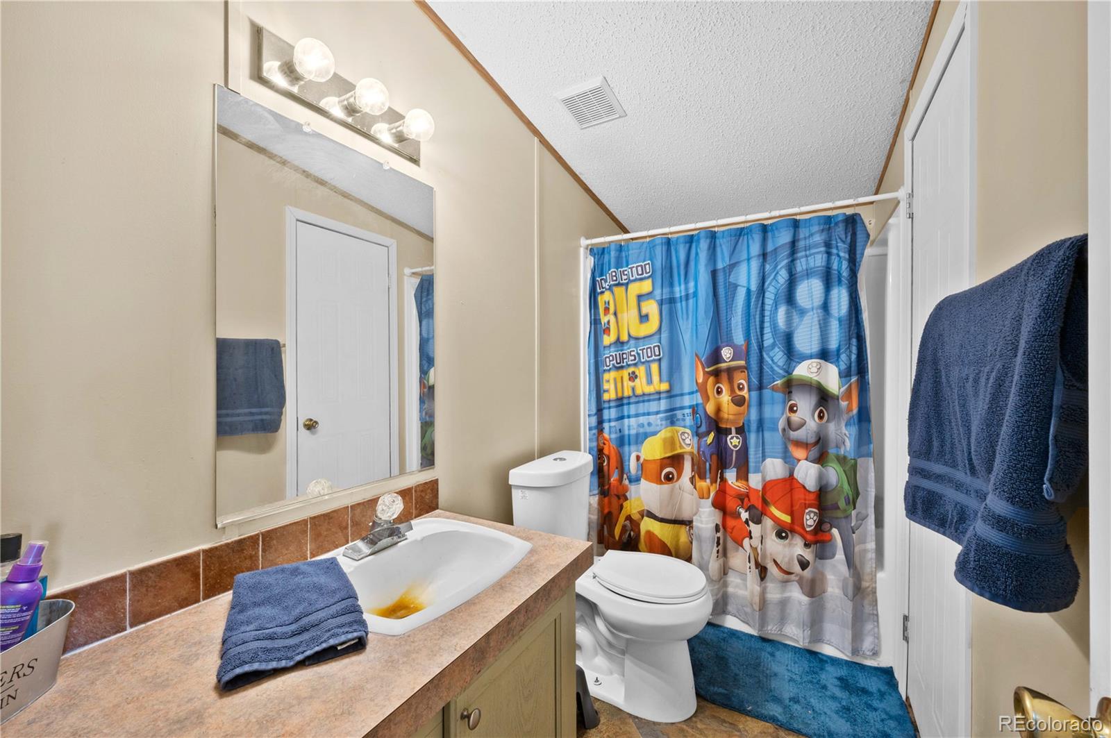 28 Pinon Lane, Cotopaxi, CO 81223, 4 Bedrooms Bedrooms, ,2 BathroomsBathrooms,Residential,For Sale,Pinon,REC9128849