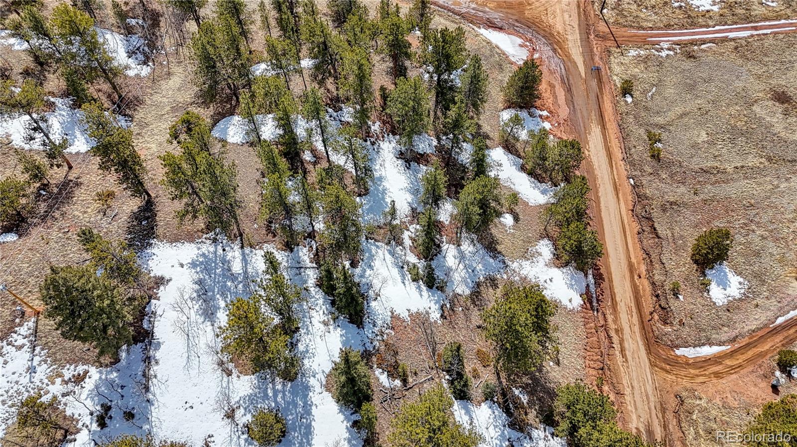 324 Pinewood Road, Florissant, CO 80816, ,Land,For Sale,Pinewood,REC3318567