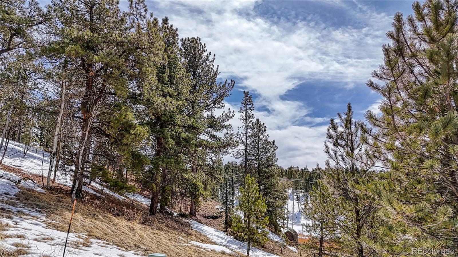 324 Pinewood Road, Florissant, CO 80816, ,Land,For Sale,Pinewood,REC3318567
