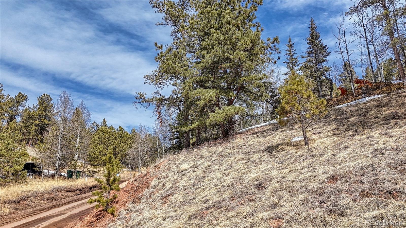 324 Pinewood Road, Florissant, CO 80816, ,Land,For Sale,Pinewood,REC3318567