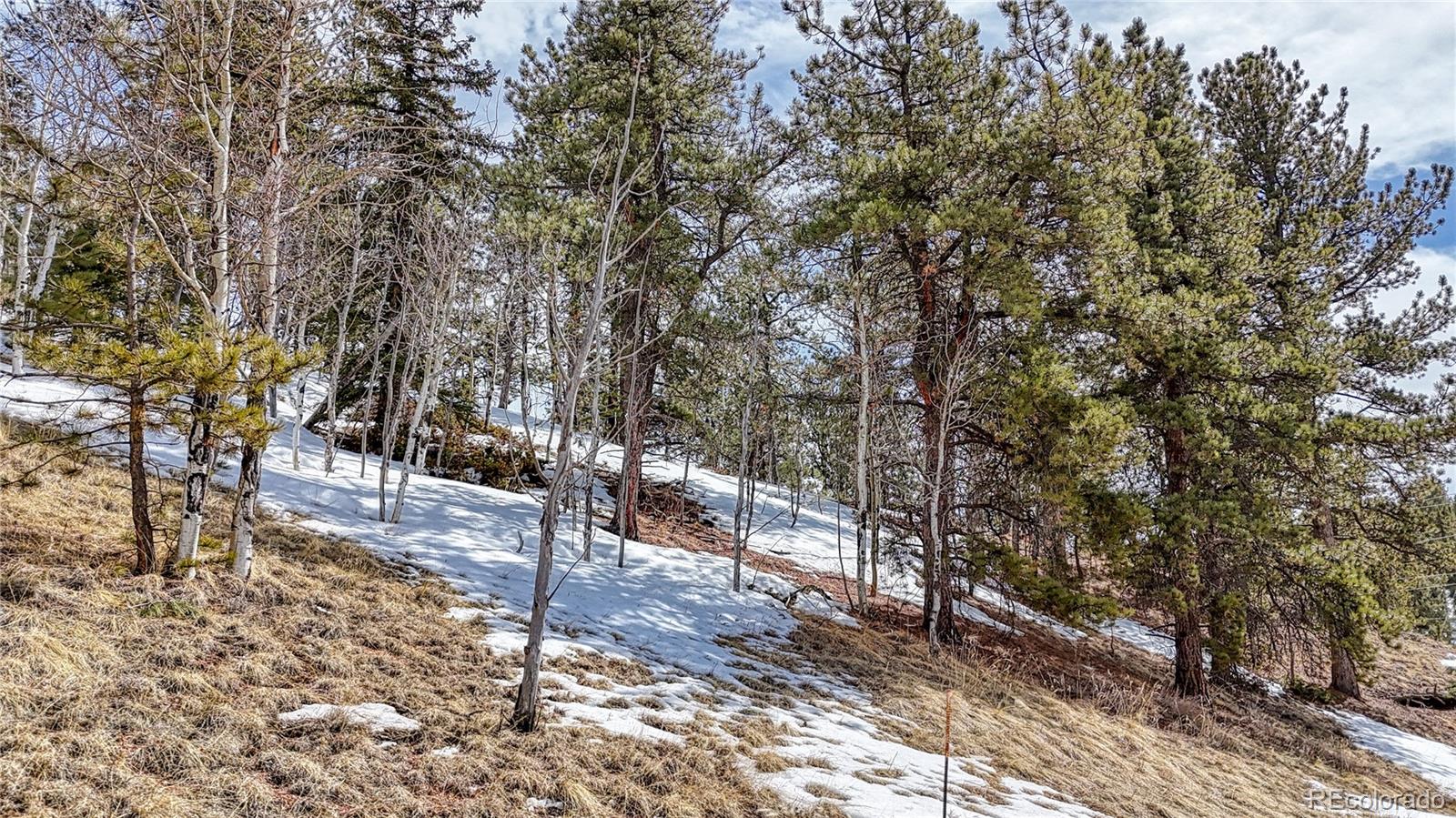 324 Pinewood Road, Florissant, CO 80816, ,Land,For Sale,Pinewood,REC3318567