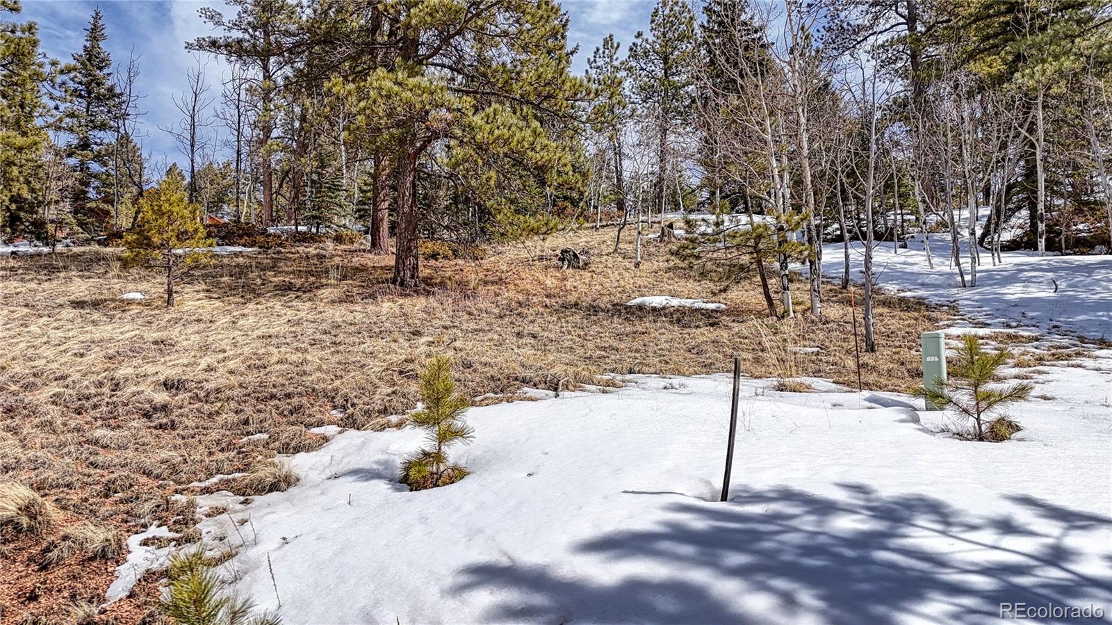 324 Pinewood Road, Florissant, CO 80816, ,Land,For Sale,Pinewood,REC3318567