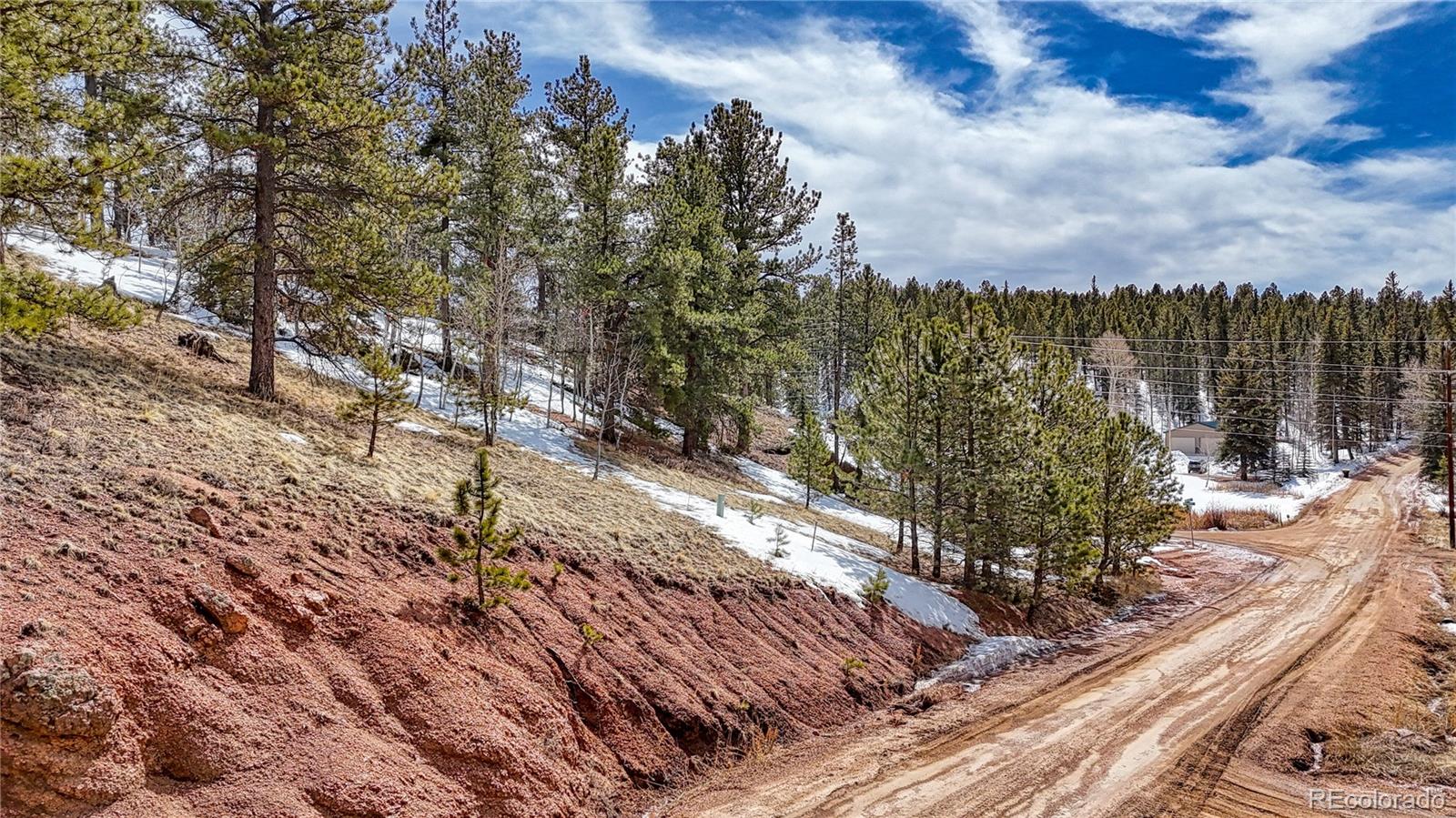 324 Pinewood Road, Florissant, CO 80816, ,Land,For Sale,Pinewood,REC3318567