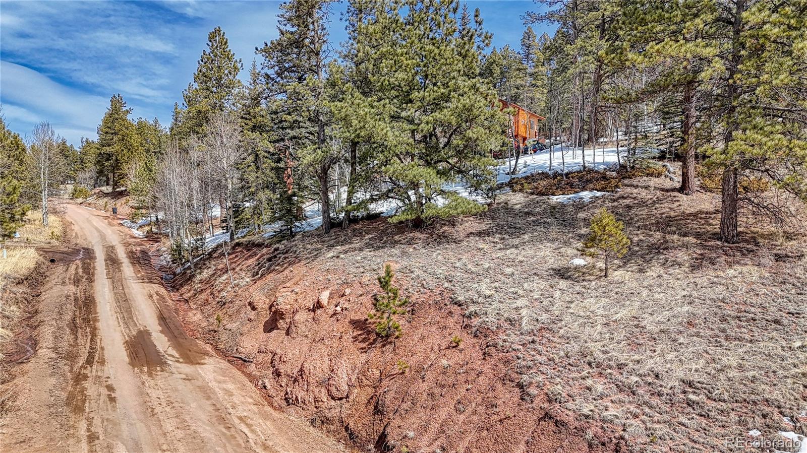 324 Pinewood Road, Florissant, CO 80816, ,Land,For Sale,Pinewood,REC3318567