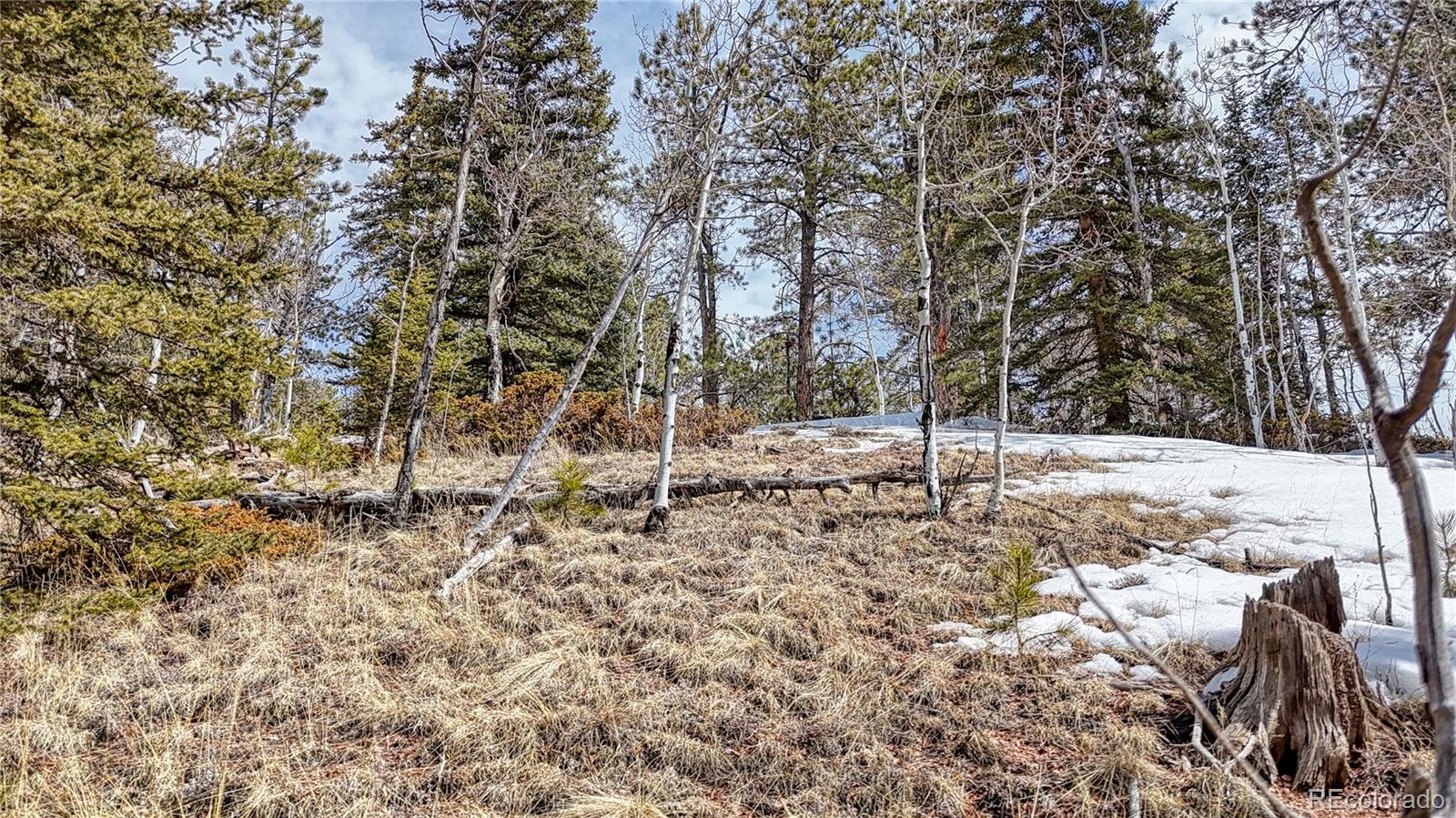 324 Pinewood Road, Florissant, CO 80816, ,Land,For Sale,Pinewood,REC3318567