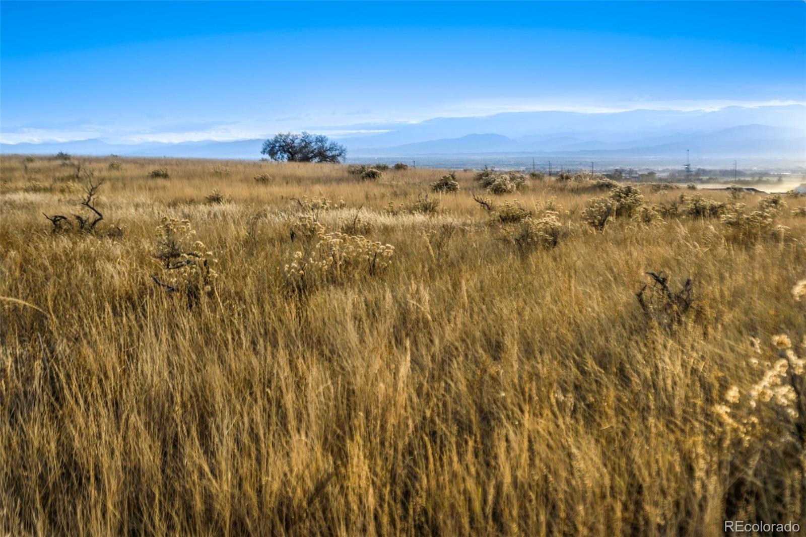 Restricted Address, Fort Collins, CO 80524, ,Land,For Sale,County Road 84 - Lot 7,REC2269051