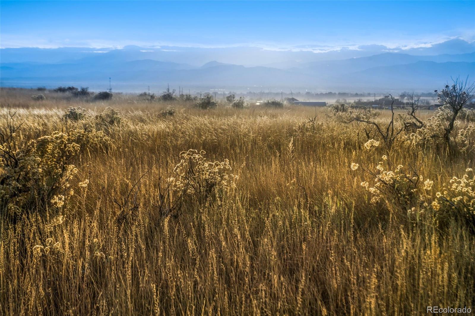 Restricted Address, Fort Collins, CO 80524, ,Land,For Sale,County Road 84 - Lot 7,REC2269051