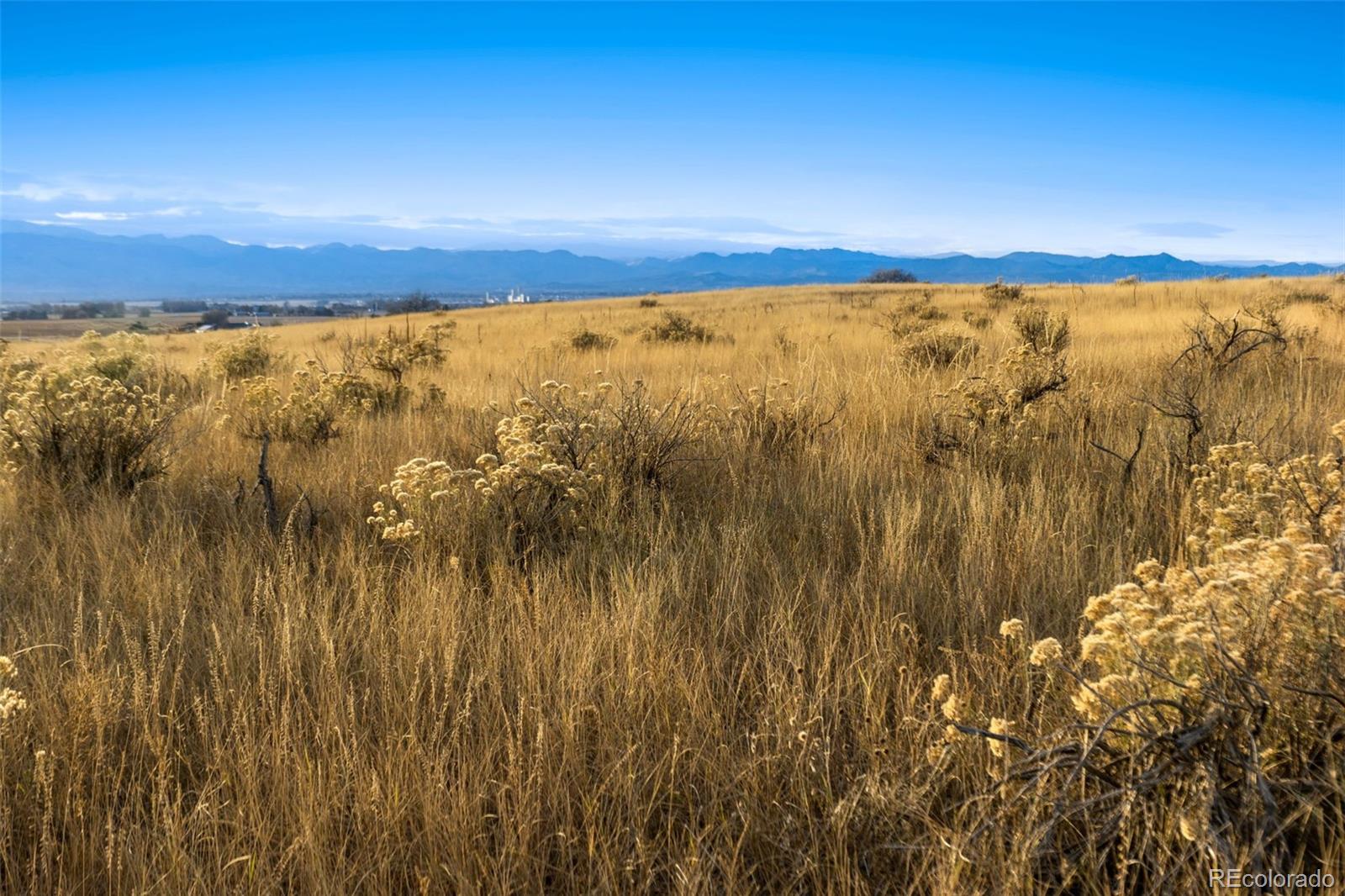 Restricted Address, Fort Collins, CO 80524, ,Land,For Sale,County Road 84 - Lot 8,REC7373935