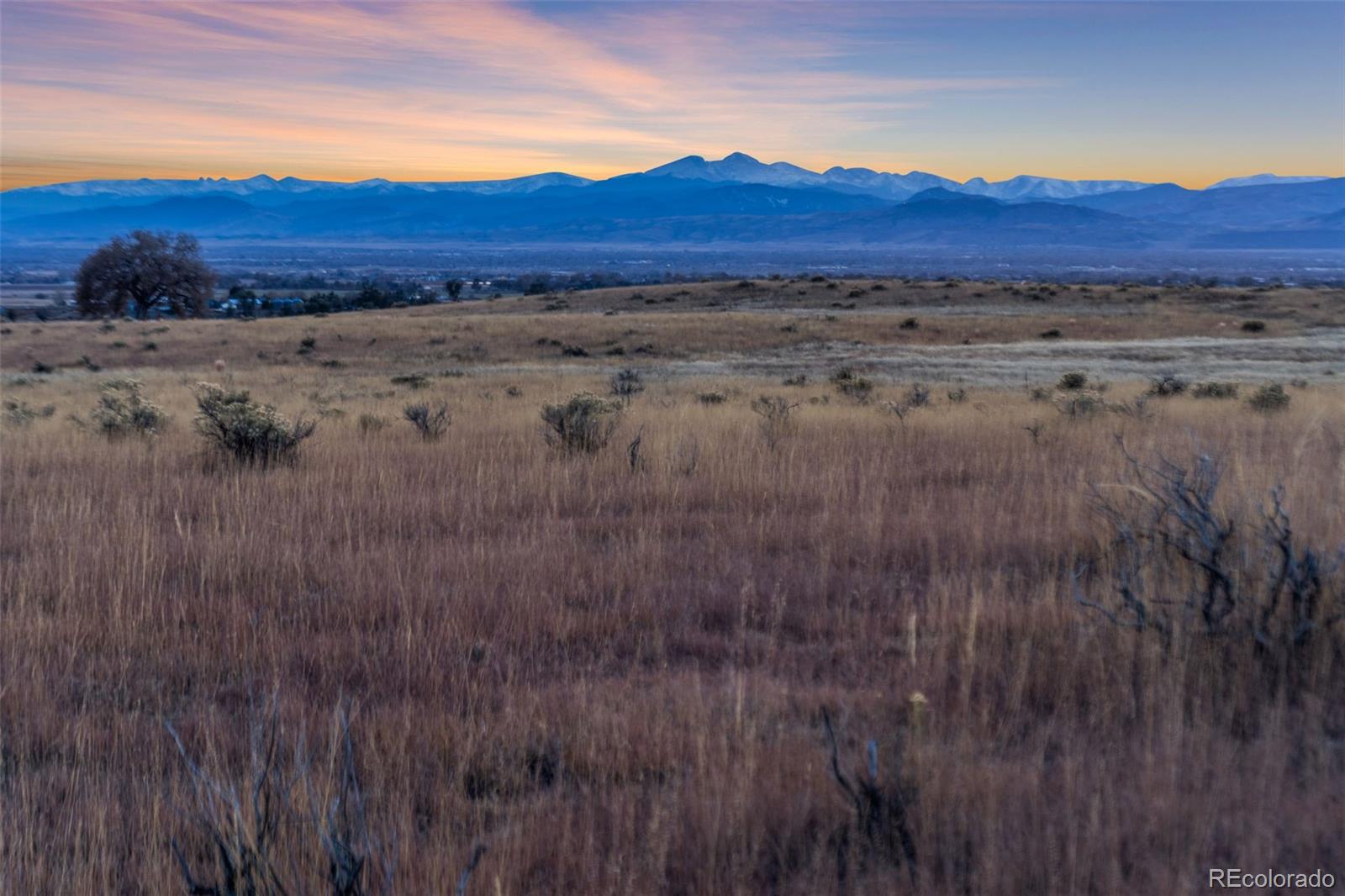 Restricted Address, Fort Collins, CO 80524, ,Land,For Sale,County Road 84 - Lot 8,REC7373935