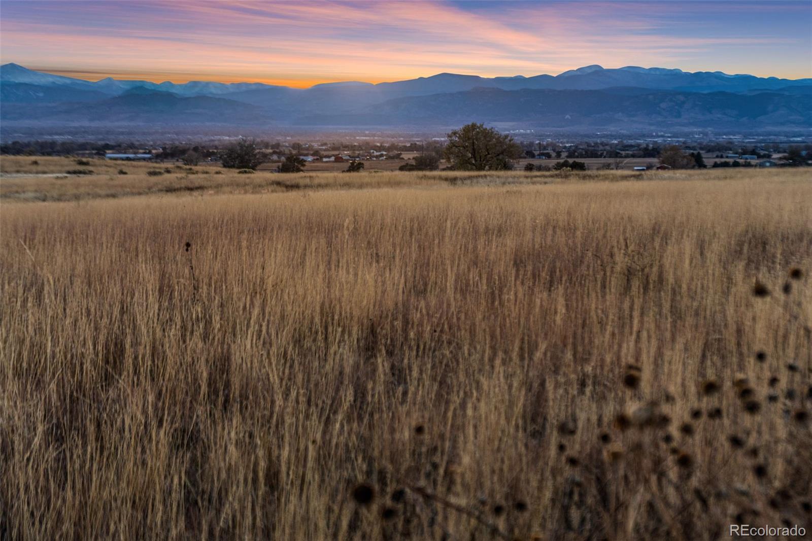 Restricted Address, Fort Collins, CO 80524, ,Land,For Sale,County Road 84 - Lot 8,REC7373935