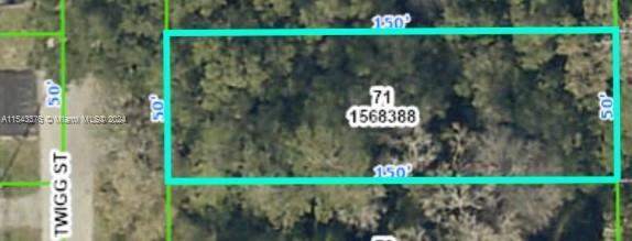 0 TWIGG ST, Other City - In The State Of Florida, FL 34601, ,Land,For Sale,TWIGG ST,A11543376