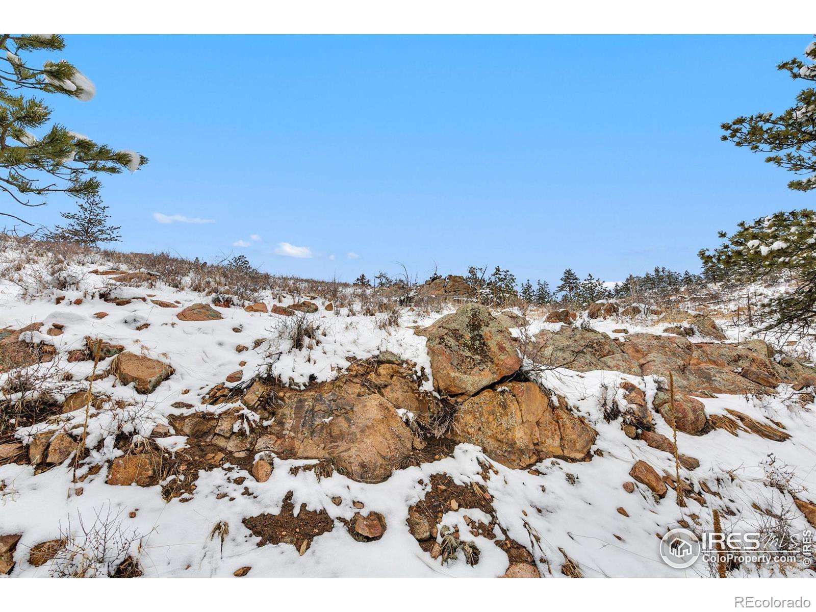 0 Le Conte Drive, Livermore, CO 80536 Real Estate