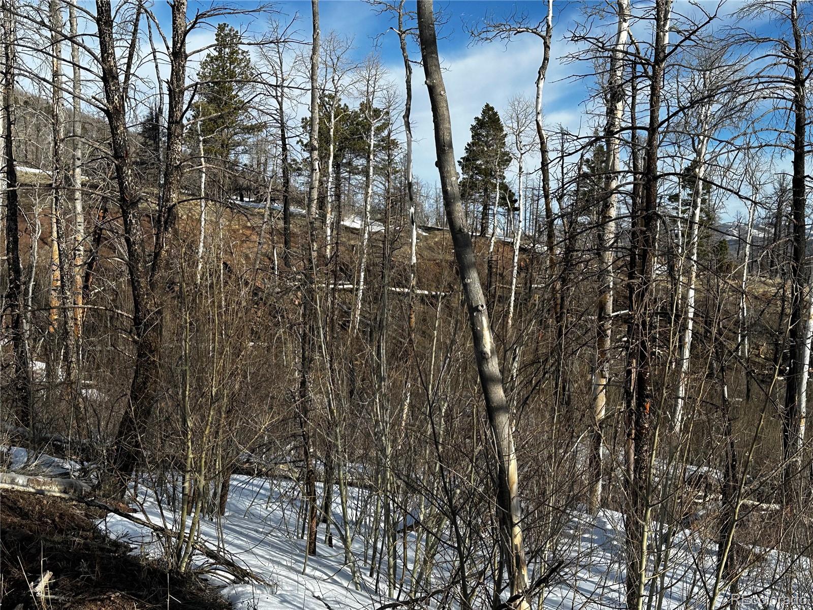 790 Duckworth Drive, Fort Garland, CO 81133, ,Land,For Sale,Duckworth,REC3437378